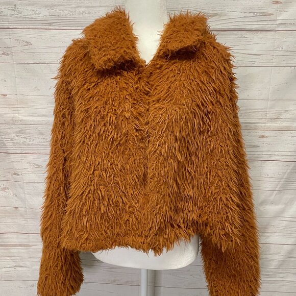 Free People Zuri Teddy Shaggy Faux fur coat - Picture 2 of 10